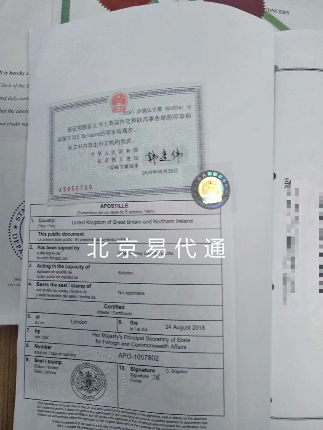 北京深圳代办国外无犯罪记录公证认证