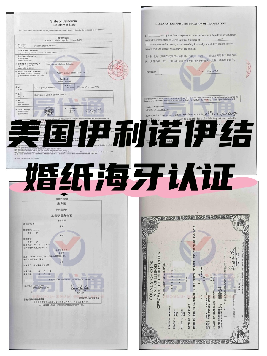 未命名_副本.jpg