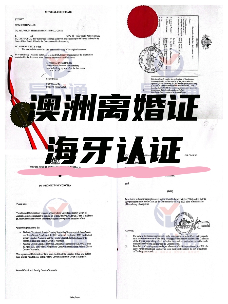 未命名_副本.jpg