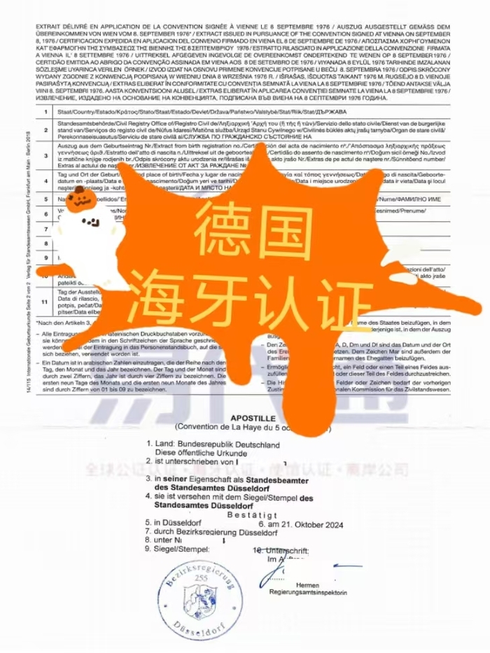 bd4cbc6926badc5c8a55a42c73000d8.jpg