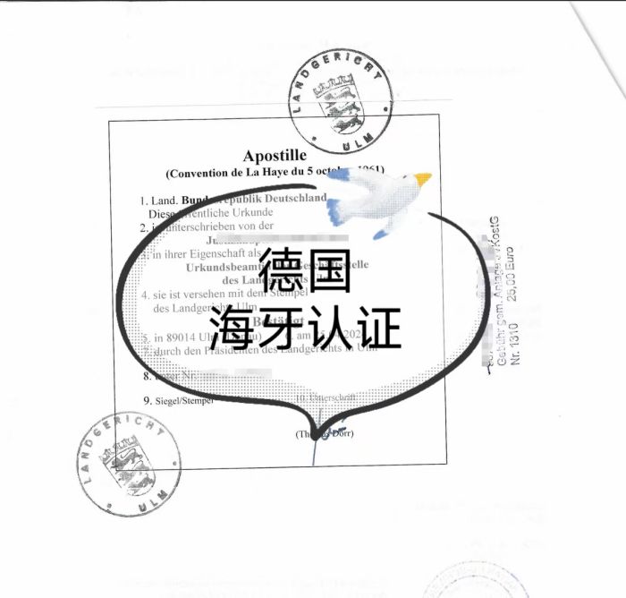 德国海牙认证1.jpg 德国海牙认证1.jpg