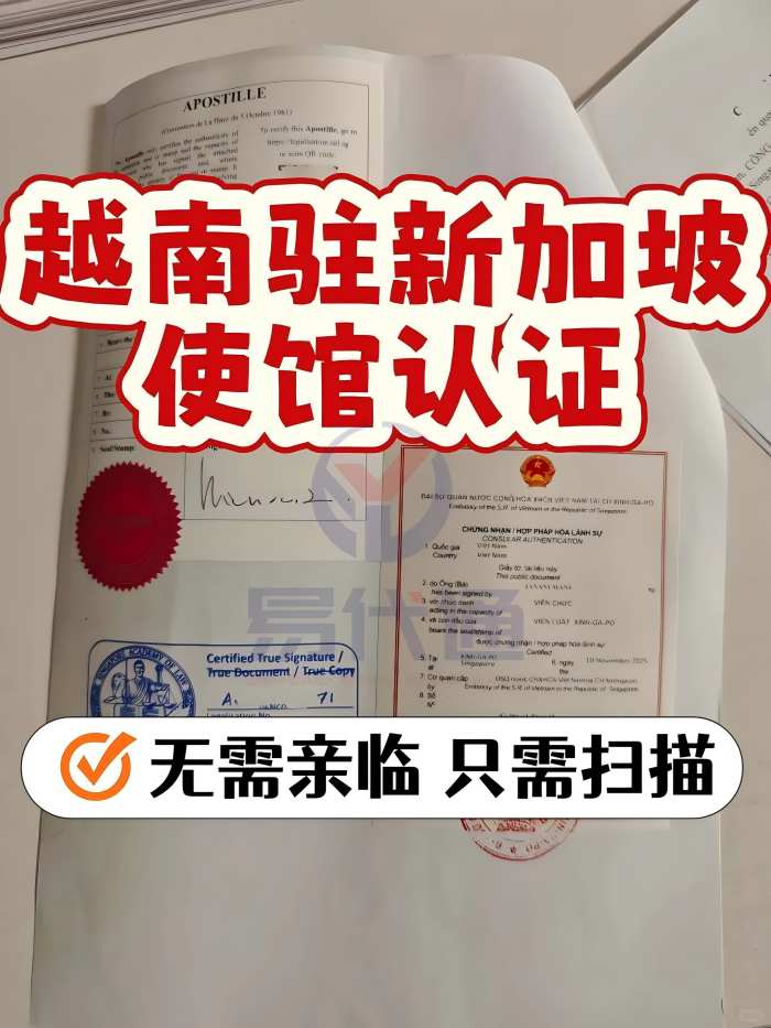 新加坡企业赴越投资_文书公证越南使馆认证_1_易代通公证认证官方号_来自小红书网页版(1).jpg