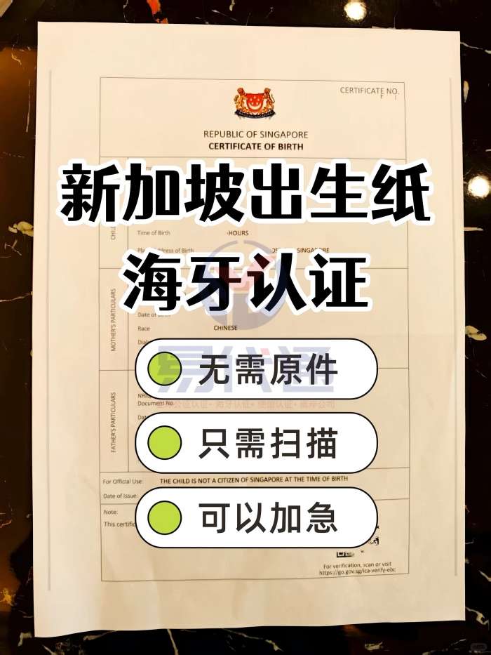 新加坡出生纸海牙认证apostille超全攻略_1_易代通公证认证官方号_来自小红书网页版(1).jpg