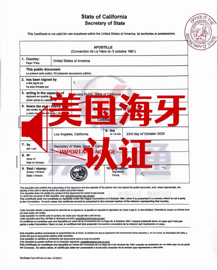 91d5641d78312a149606e6f541448448_副本.jpg