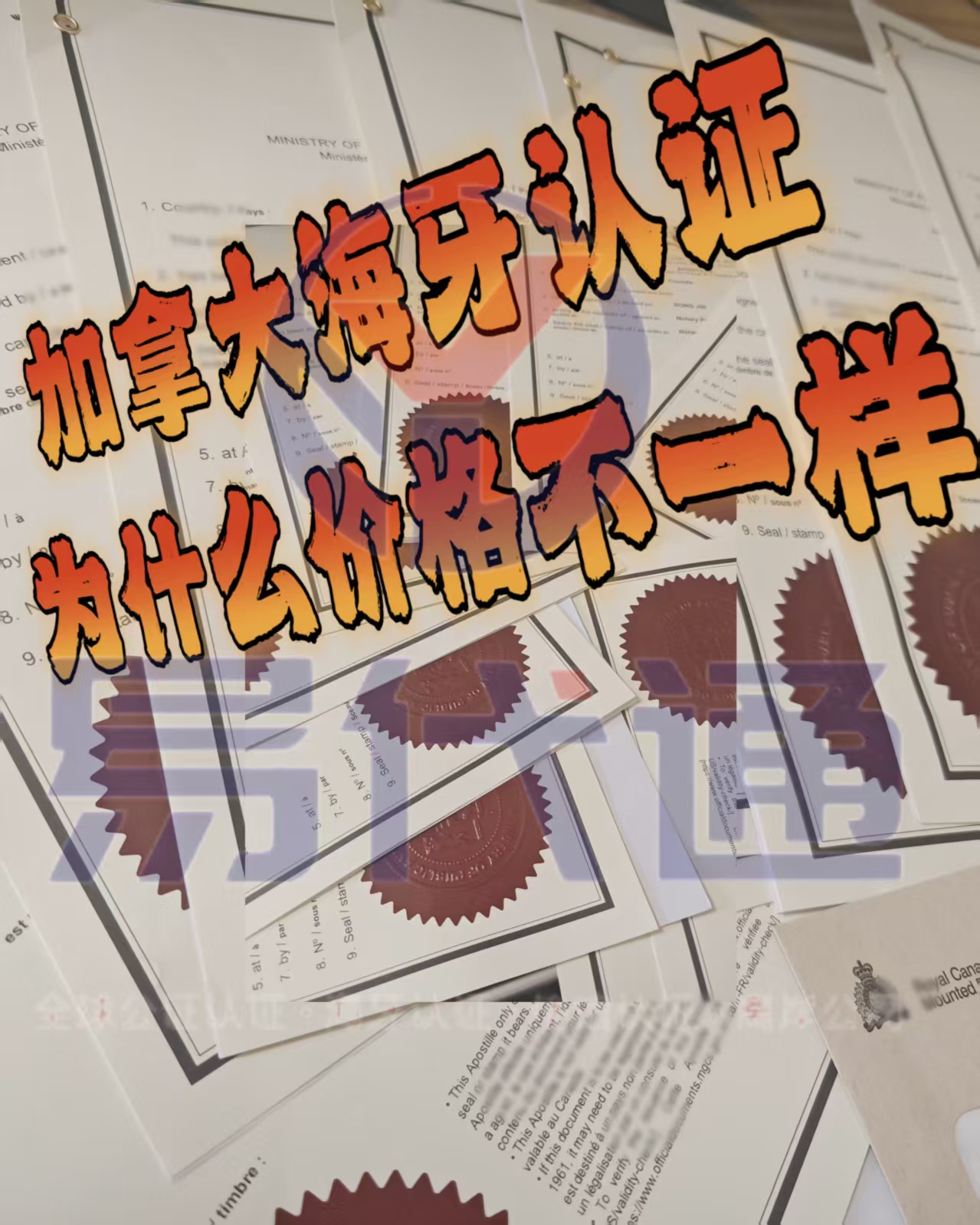 加拿大.jpg